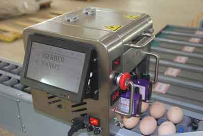 Egg printing (Optional)