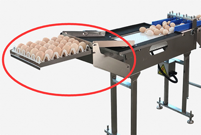 101BS Egg Grader