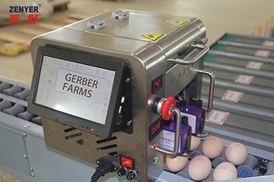 101BS Egg Grader