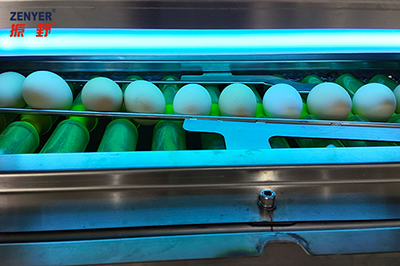 102BP Egg Grader