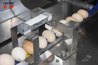 102BP Egg Grader