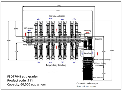 111 Egg Grader