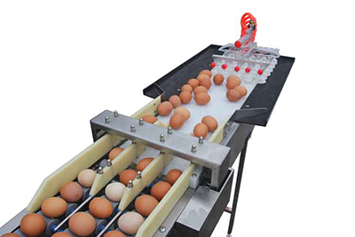 Vacuum egg lifter & accumulator