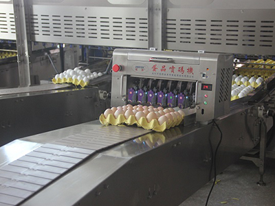 405HS Egg Printer