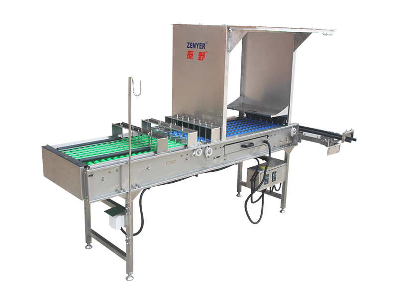 Egg Breaking Machines  Worldwide Delivery and Service