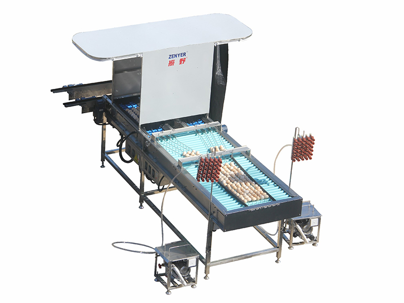 710C Egg Farm Packer Egg Packing Machine ZENYER