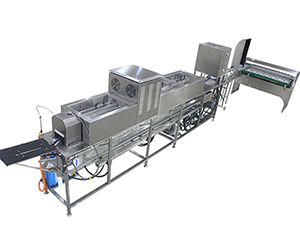 300A Egg Processing Line with Cleaning Grading