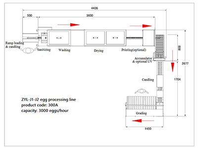 300A  Egg Processing  Line with Cleaning & Grading