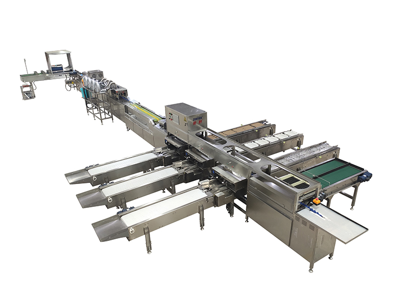 302A Egg Processing Line with Cleaning Grading Packaging