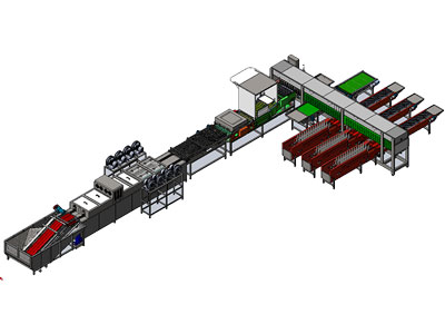 303B Egg Processing Line with Cleaning Grading