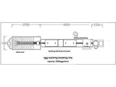 300C Egg Processing Line with Cleaning Grading Separating