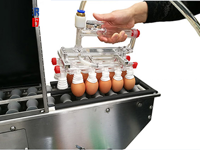 601 Vacuum Egg Lifter