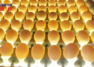 601 Vacuum Egg Lifter